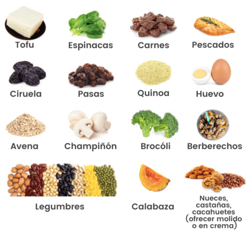 alimentos ricos en hierro