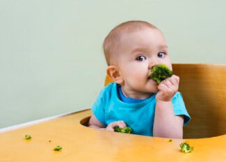 qué puede comer el bebé a los 6 meses