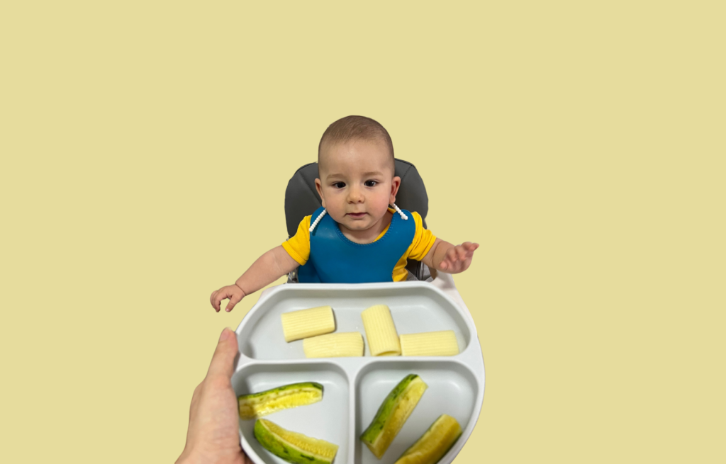 que puede comer el bebé a los 6 meses